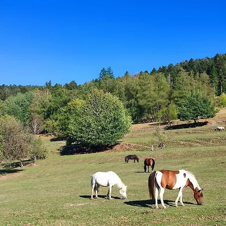 La P'tite Riviere Saint-Nabord