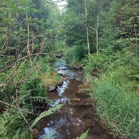 La P'tite Riviere * Saint-Nabord