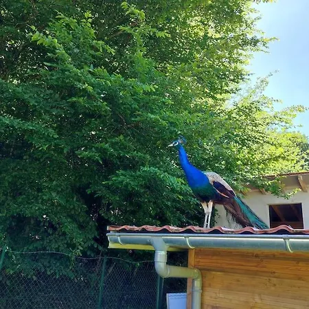 La P'tite Riviere Σπίτι διακοπών