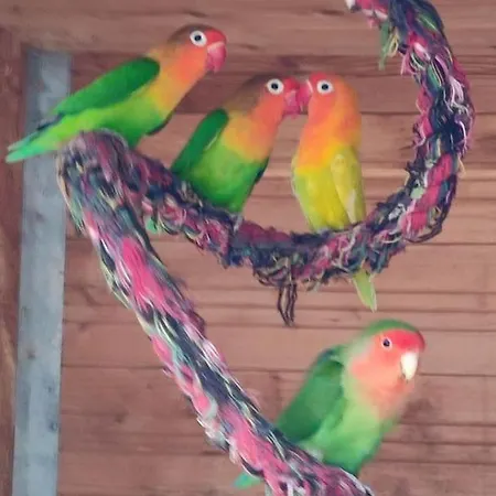 La P'tite Riviere Σπίτι διακοπών *