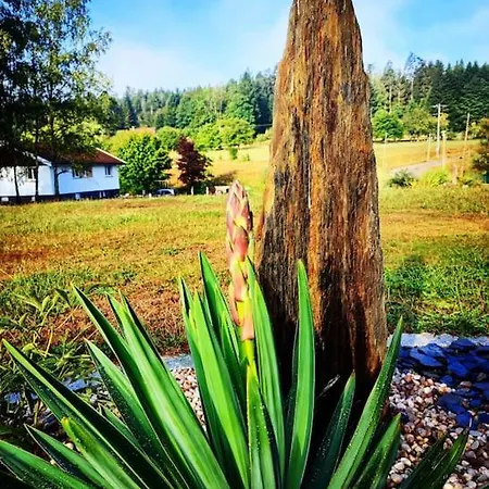 Vakantiehuis La P'tite Riviere *