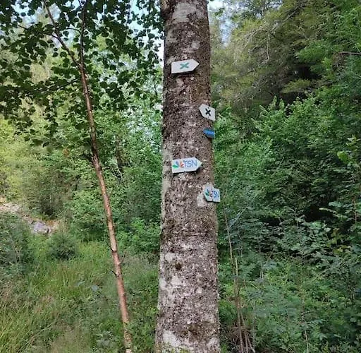 Prázdninový dům La P'tite Riviere