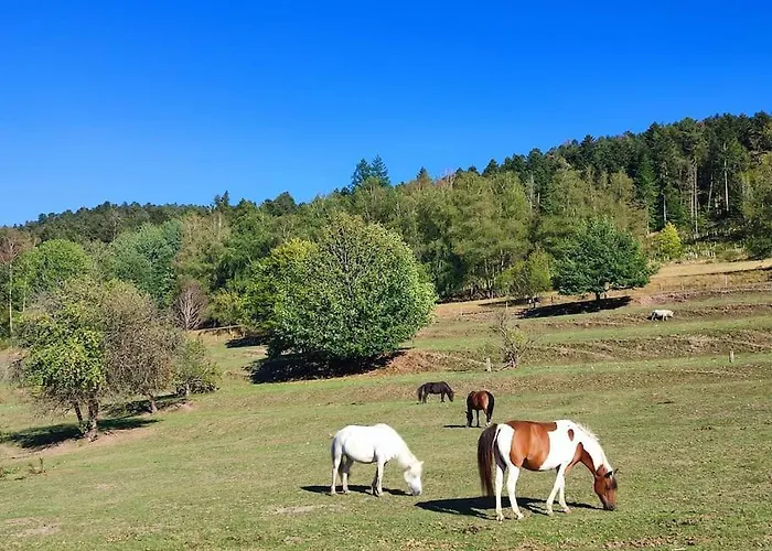 La P'tite Riviere Saint-Nabord