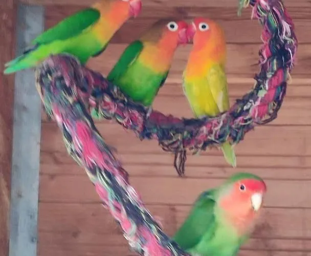 La P'tite Riviere Prázdninový dům *