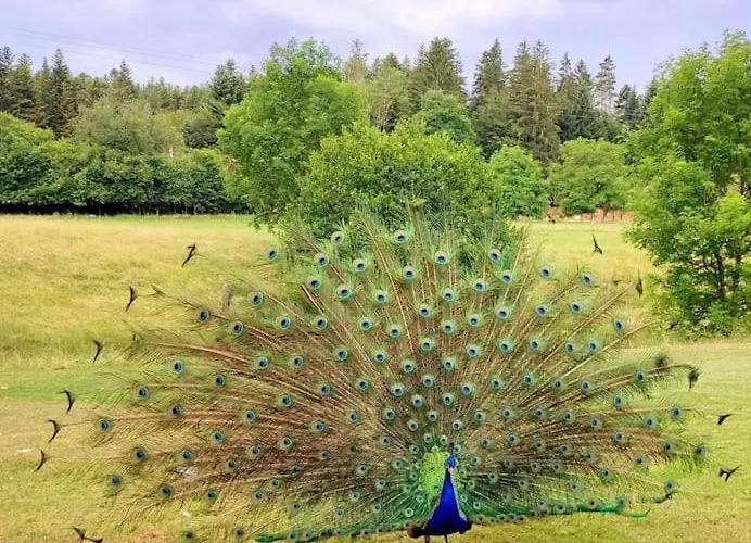 La P'tite Riviere Prázdninový dům Saint-Nabord