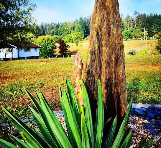 Prázdninový dům La P'tite Riviere *