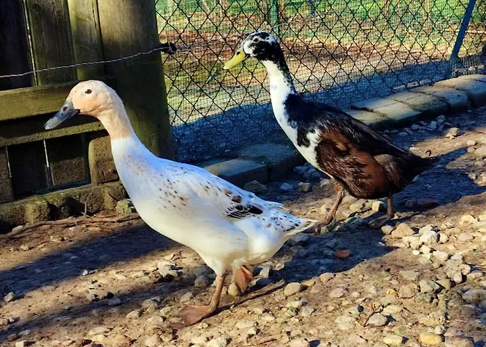 Prázdninový dům La P'tite Riviere